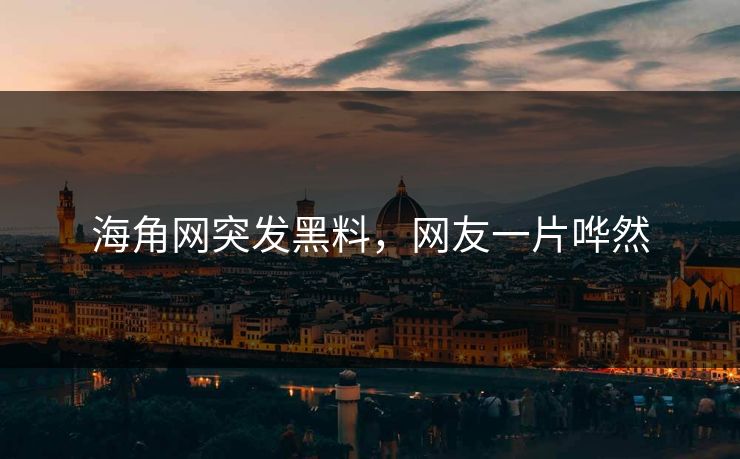 海角网突发黑料，网友一片哗然
