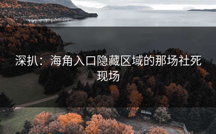 深扒：海角入口隐藏区域的那场社死现场