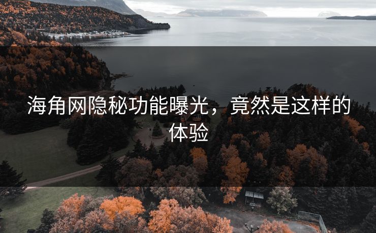 海角网隐秘功能曝光，竟然是这样的体验