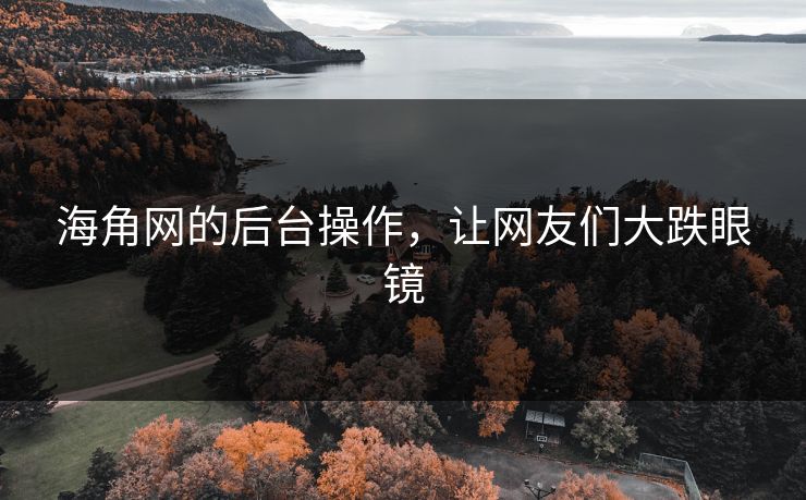 海角网的后台操作，让网友们大跌眼镜