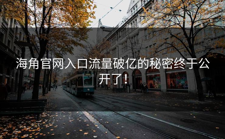 海角官网入口流量破亿的秘密终于公开了！