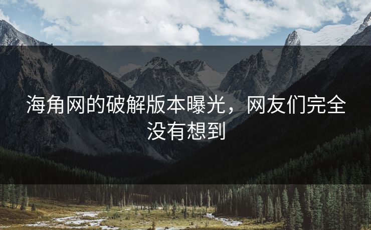 海角网的破解版本曝光，网友们完全没有想到