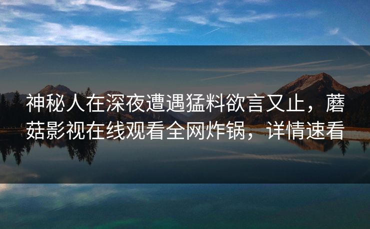 神秘人在深夜遭遇猛料欲言又止，蘑菇影视在线观看全网炸锅，详情速看