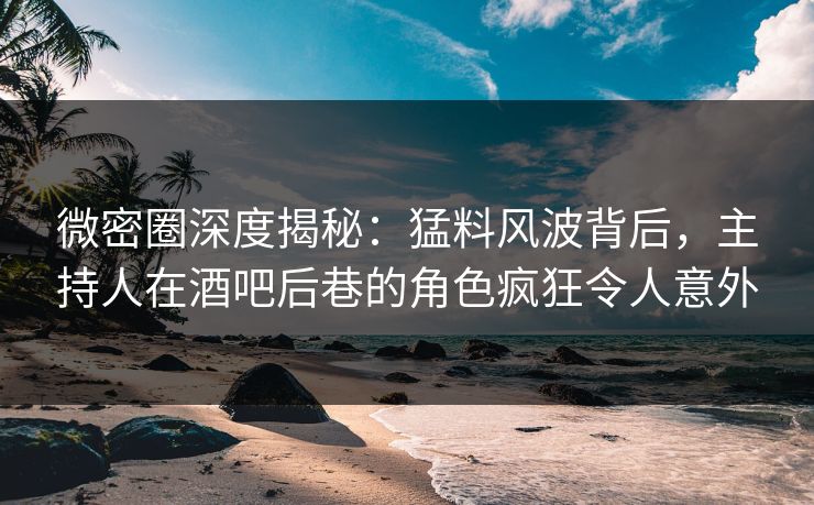 微密圈深度揭秘：猛料风波背后，主持人在酒吧后巷的角色疯狂令人意外