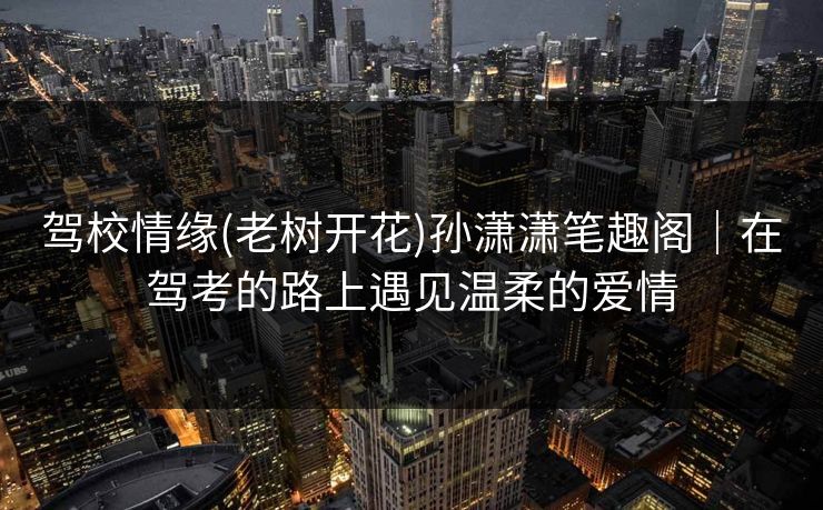 驾校情缘(老树开花)孙潇潇笔趣阁｜在驾考的路上遇见温柔的爱情
