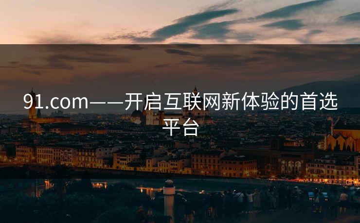 91.com——开启互联网新体验的首选平台