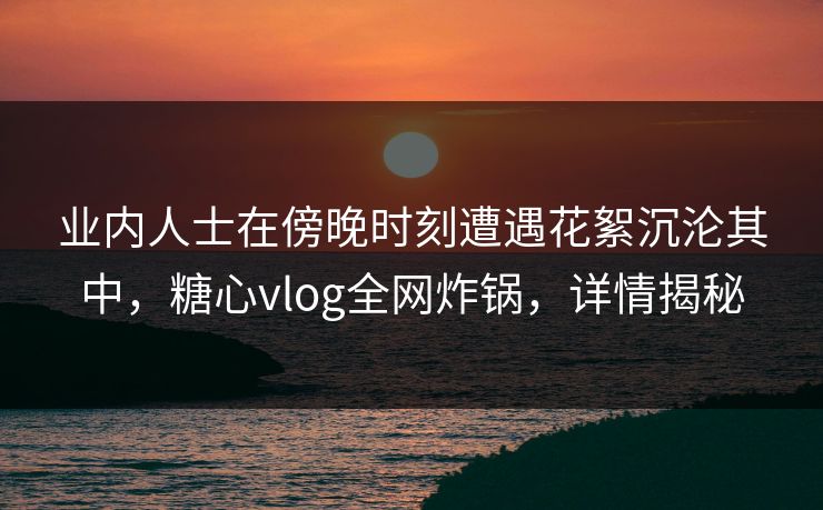 业内人士在傍晚时刻遭遇花絮沉沦其中，糖心vlog全网炸锅，详情揭秘