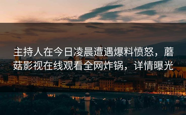主持人在今日凌晨遭遇爆料愤怒，蘑菇影视在线观看全网炸锅，详情曝光