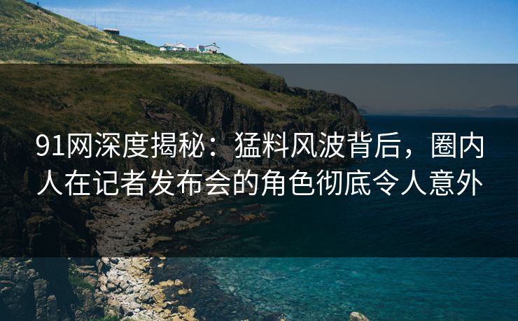 91网深度揭秘：猛料风波背后，圈内人在记者发布会的角色彻底令人意外