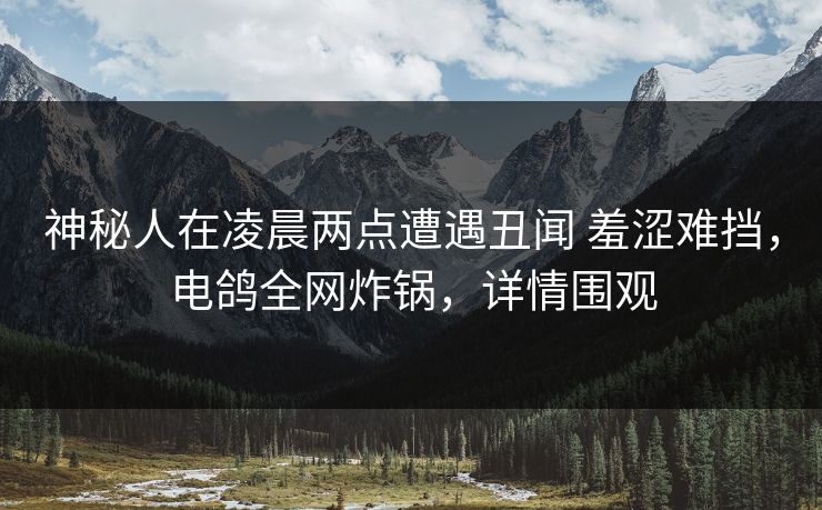 神秘人在凌晨两点遭遇丑闻 羞涩难挡，电鸽全网炸锅，详情围观